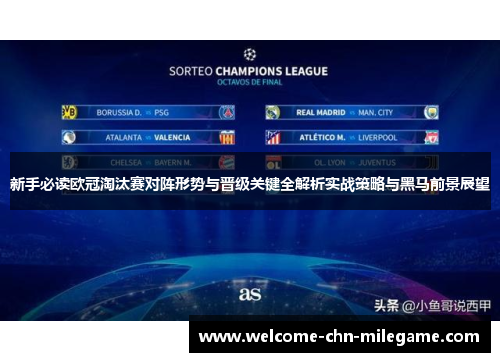 新手必读欧冠淘汰赛对阵形势与晋级关键全解析实战策略与黑马前景展望